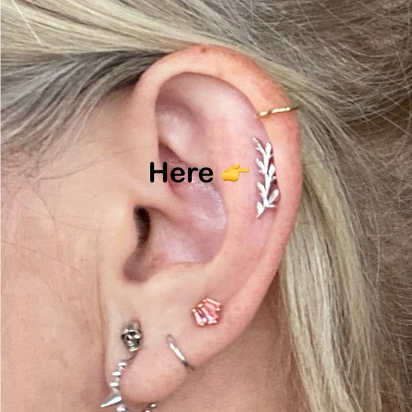 BVLA Large Amity End WG - Picture 2 of 4